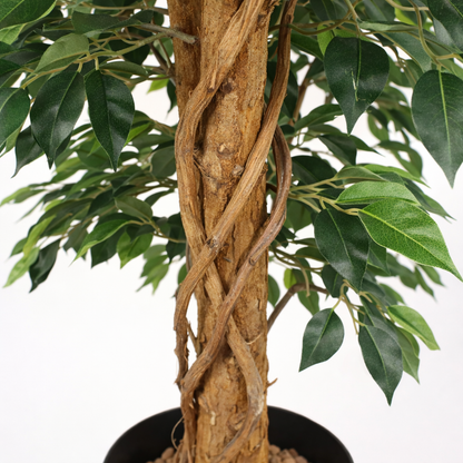 Ficus artificiel simple