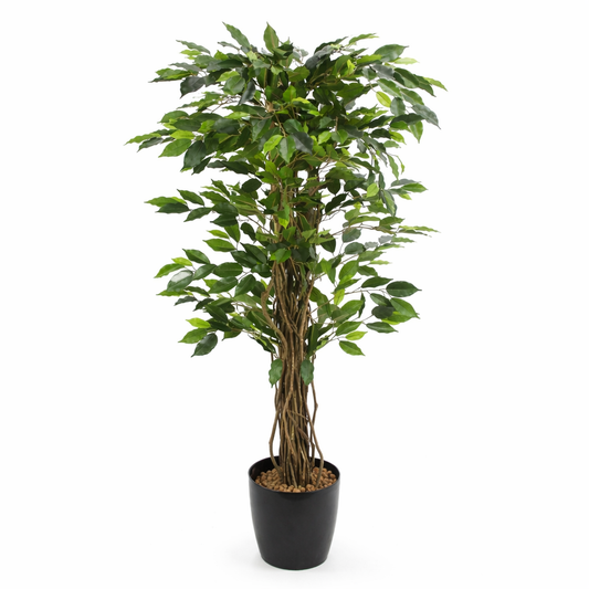 Ficus artificiel benjamina