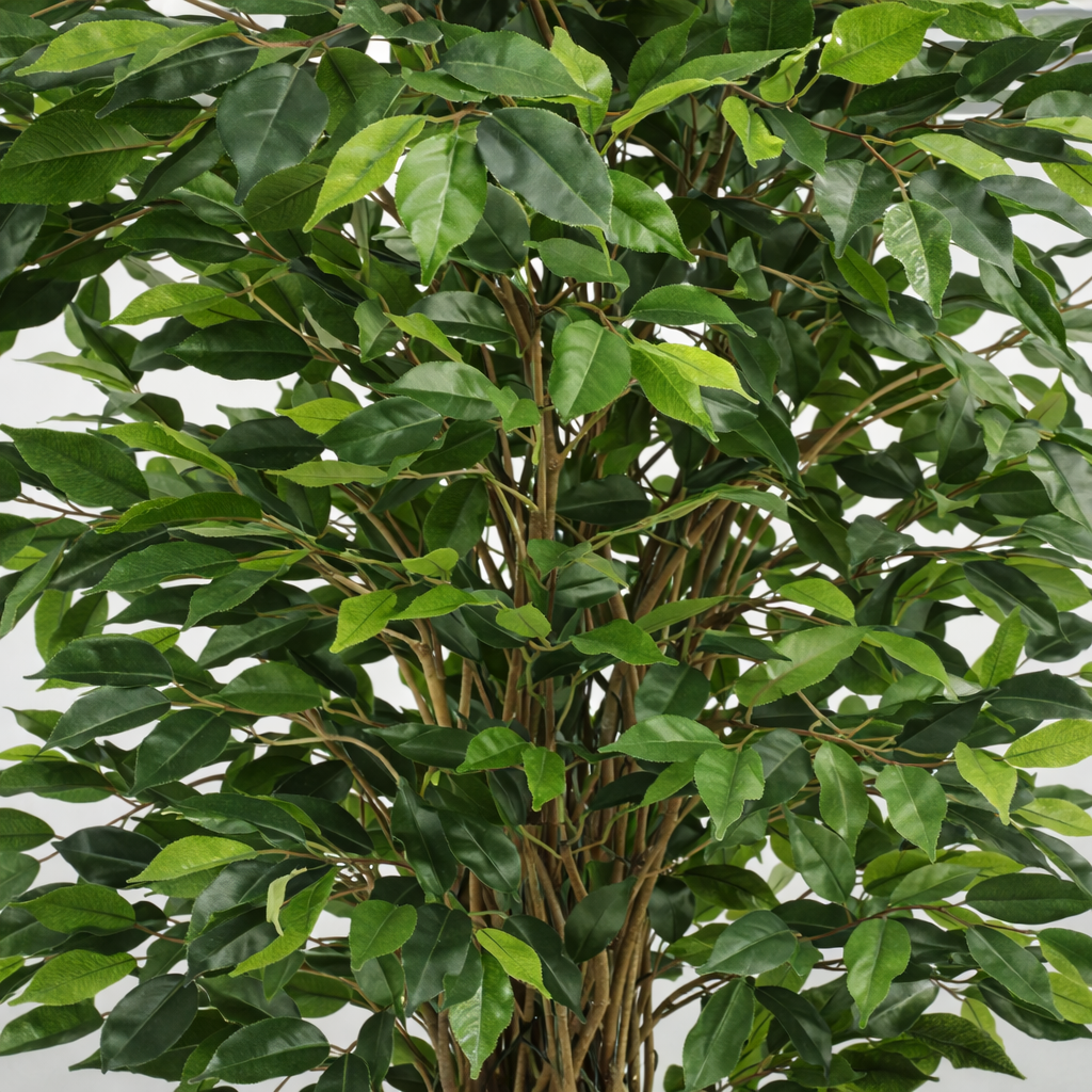 Ficus artificiel benjamina