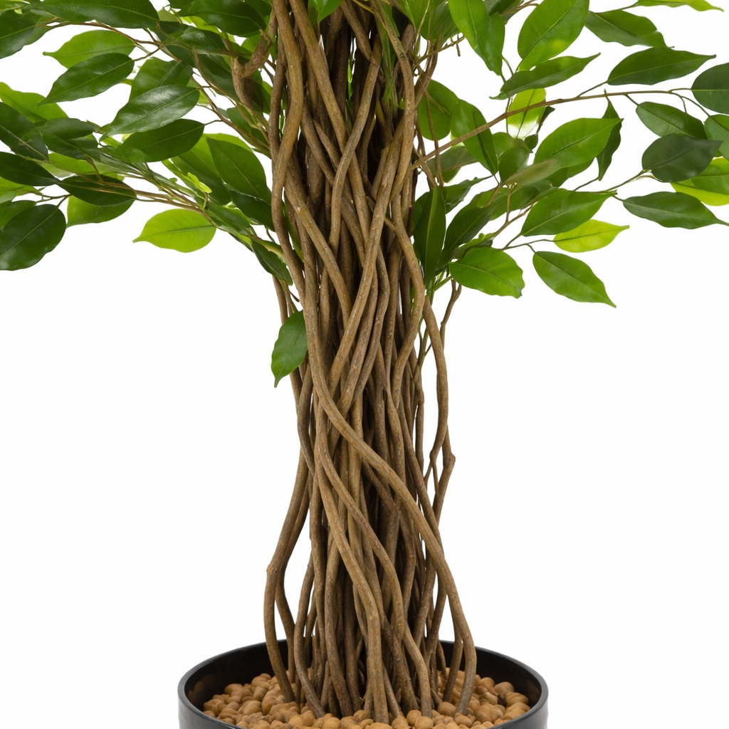 Ficus artificiel benjamina