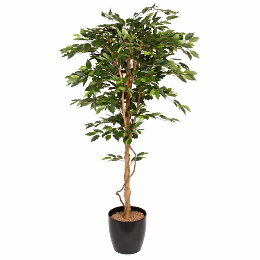 Ficus artificiel simple